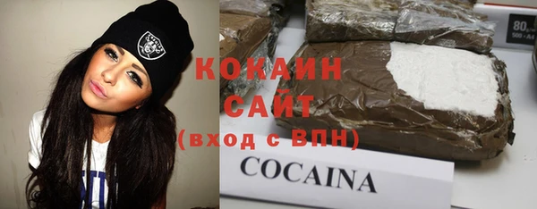 ECSTASY Богданович